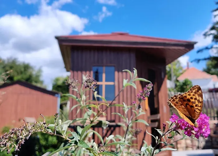 Palffy59 Vendeghaz Bed & Breakfast